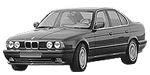 BMW E34 B3950 Fault Code