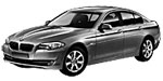 BMW F10 B3950 Fault Code